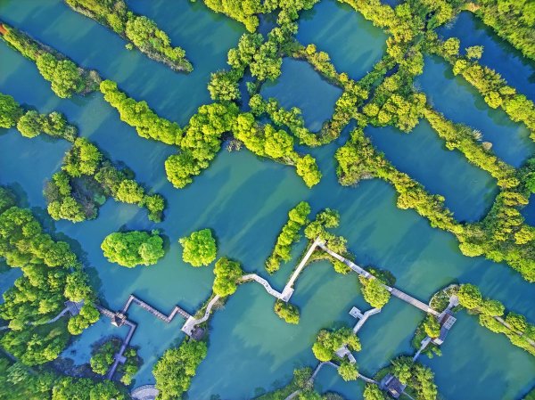 宇轩配资 湿地保护国际研讨会在杭州举行 西溪湿地引领全球湿地保护