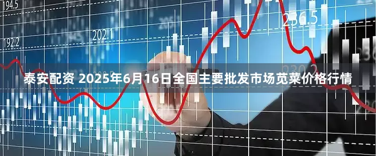 泰安配资 2025年6月16日全国主要批发市场苋菜价格行情