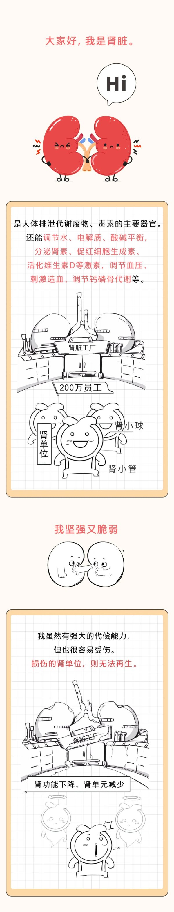 易富配资 性生活不伤肾，真正让肾脏苦不堪言的10件事，你可能每天都在做！