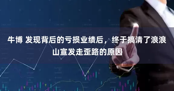 牛博 发现背后的亏损业绩后,终于搞清了浪浪山宣发走歪路的原因
